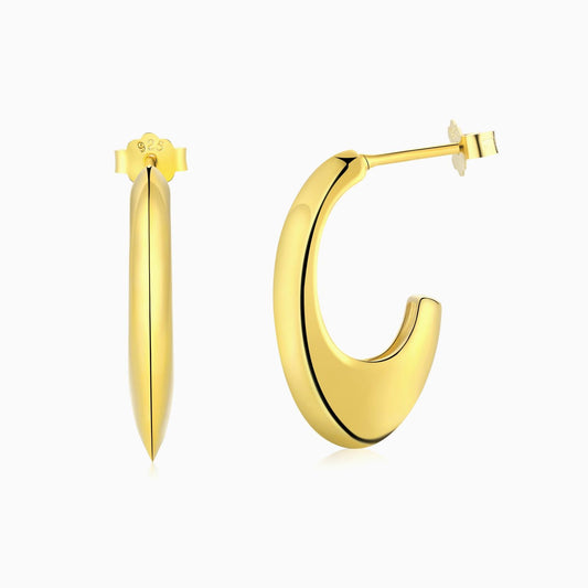 18k Plating Chunky Hoop Earrings in Gold