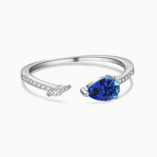 Blue and White Two Stone Ring with a Pave Band in Silver